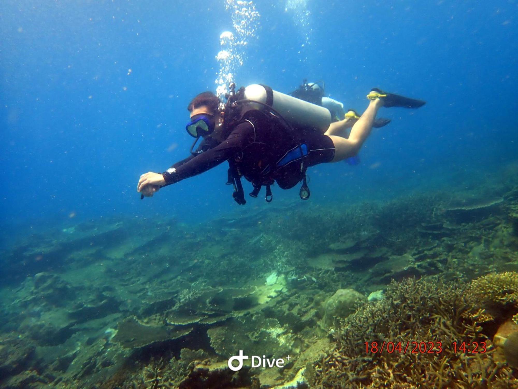 Con Dao Backpacker - Loco Camping Chi Khu Co Ong Bagian luar foto