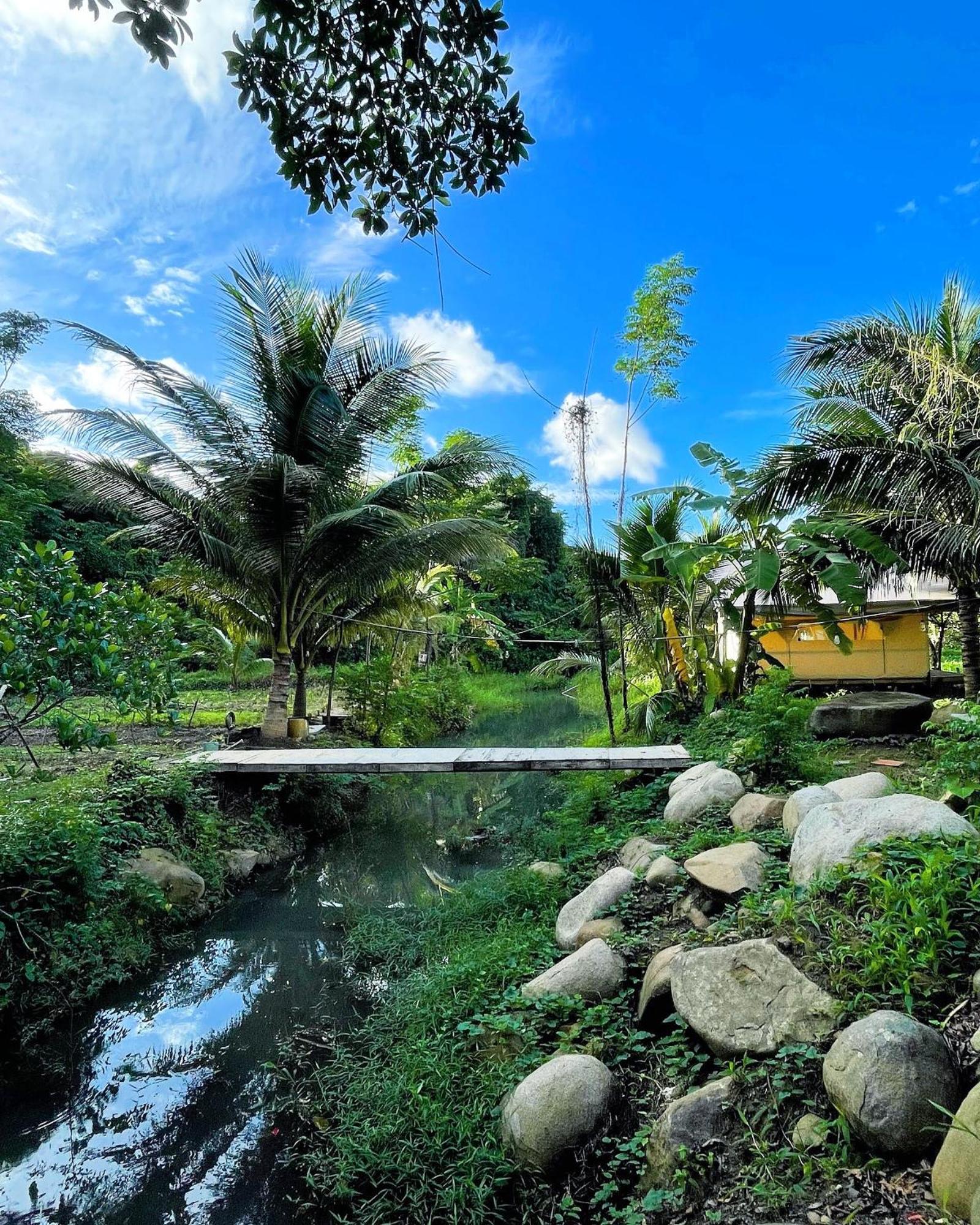 Con Dao Backpacker - Loco Camping Chi Khu Co Ong Bagian luar foto