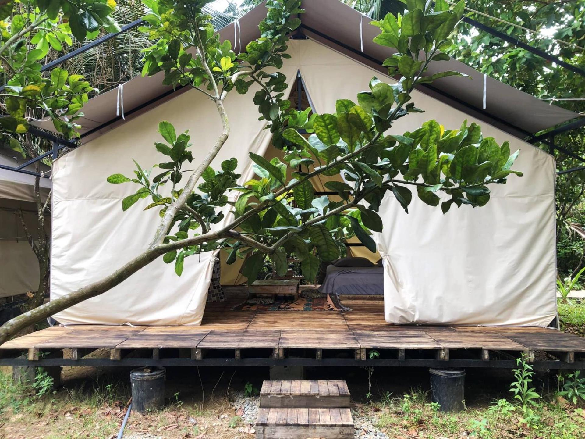 Con Dao Backpacker - Loco Camping Chi Khu Co Ong Bagian luar foto