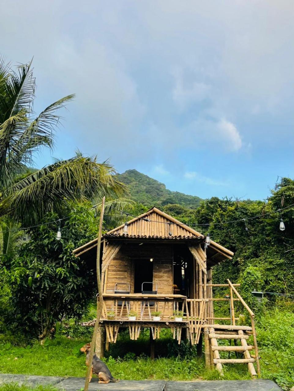 Con Dao Backpacker - Loco Camping Chi Khu Co Ong Bagian luar foto